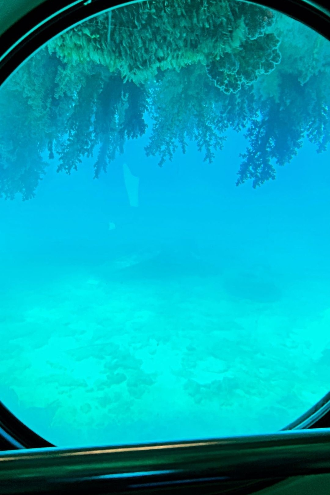 IMG_٢٠٢٢١١١٢_٢٢٤١٣٦