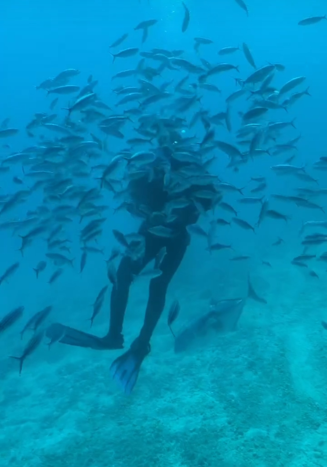 IMG_٢٠٢٢١١١٢_٢٢٤١٢٨