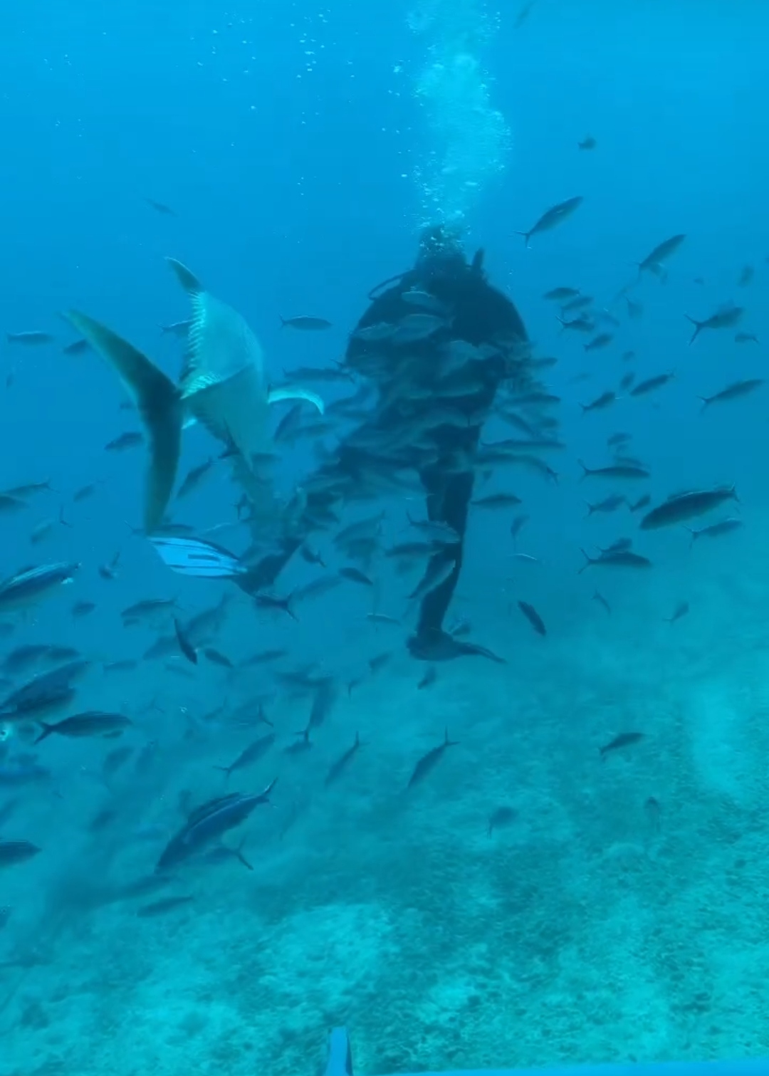 IMG_٢٠٢٢١١١٢_٢٢٤١١٨