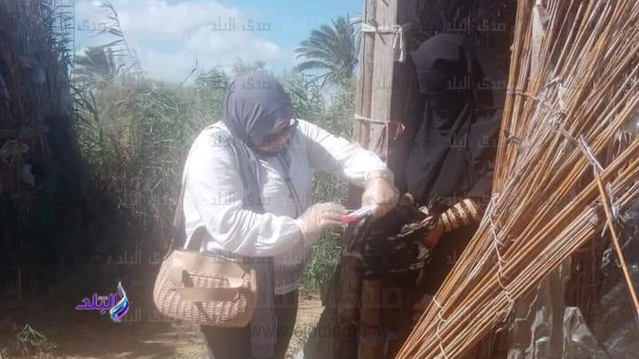 تحصين الطيور