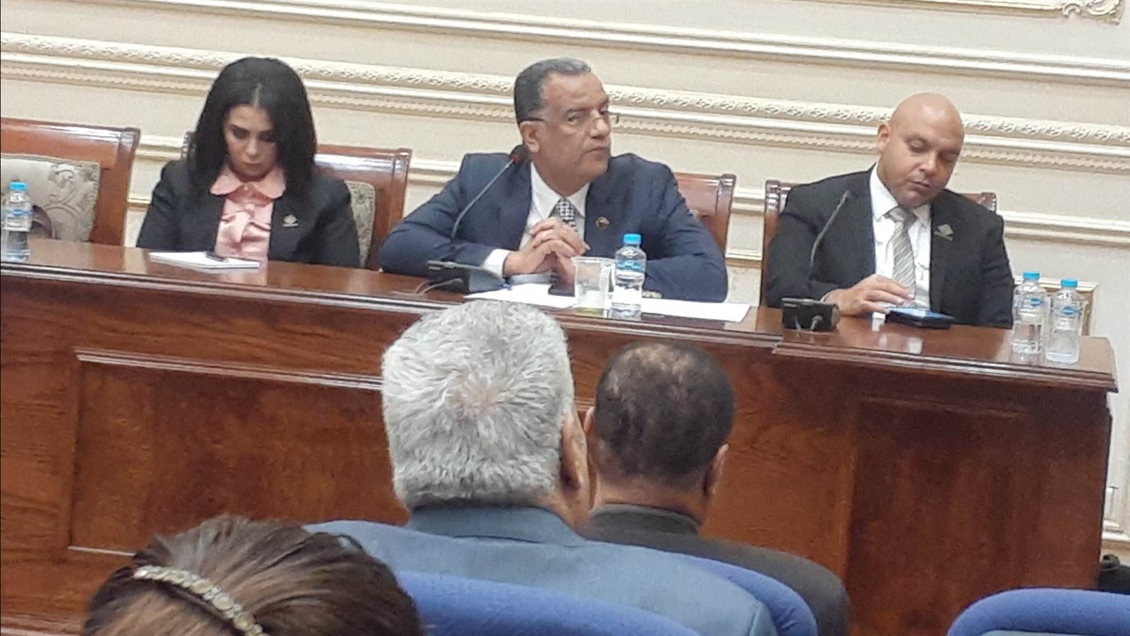 إجتماع لجنة الثقافة والسياحة والاثار بمجلس الشيوخ 