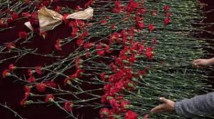 هالي اسطنبول وسياح يضعون الورود