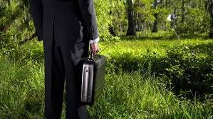 الوظائف الخضراء