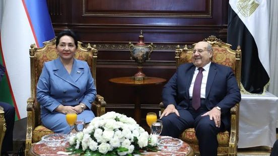 المستشار عبدالوهاب عبدالرازق يلتقي رئيسة الشيوخ الاوزبكستاني