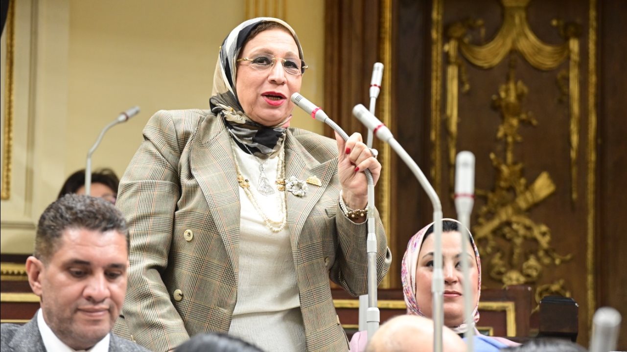 النائبة ايناس عبدالحليم عضو مجلس النواب 