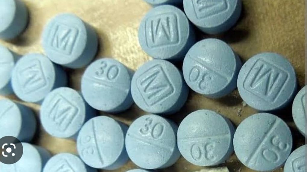 صورة من الضبطية 