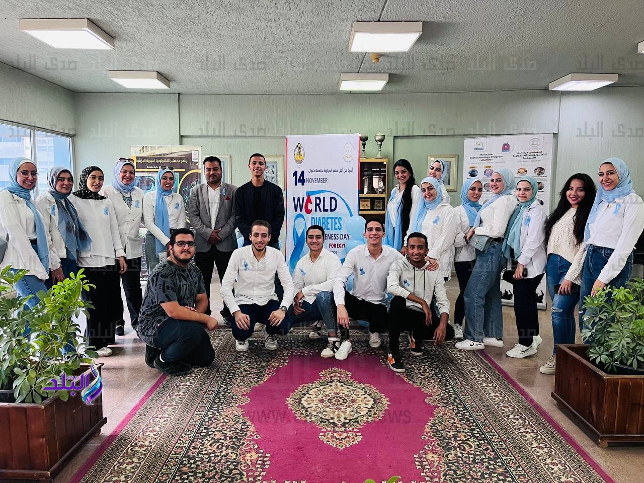 جامعة حلوان