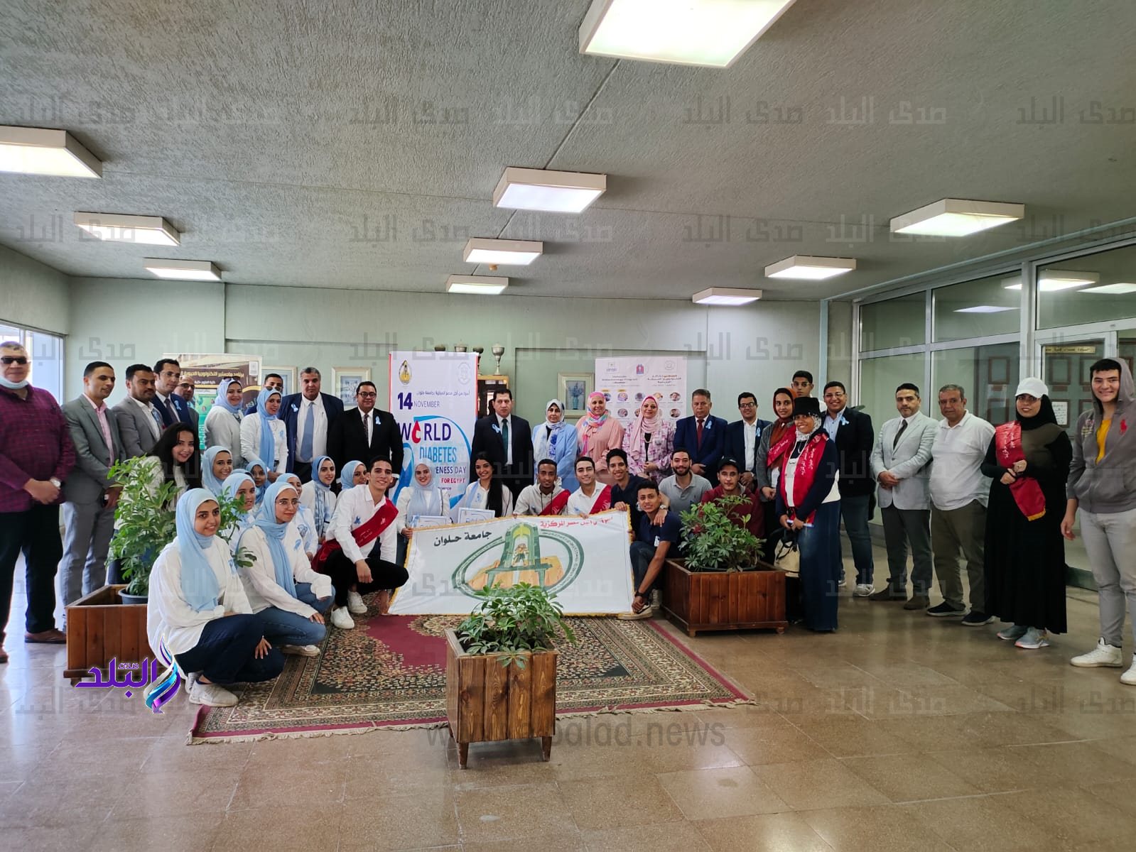 جامعة حلوان