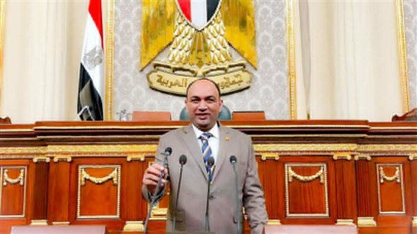  أحمد أبو زيد عضو مجلس النواب 