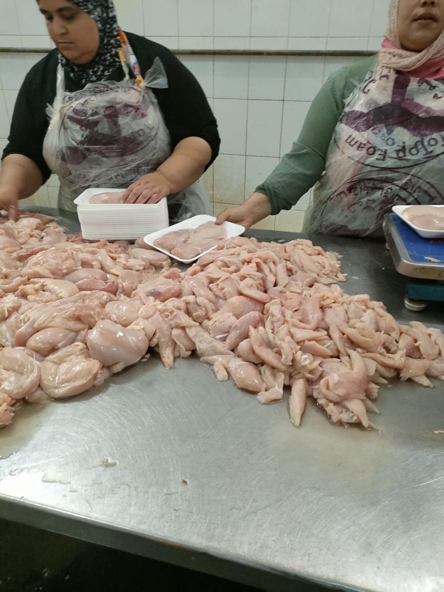 المضبوطات خلال الحملات التموينية