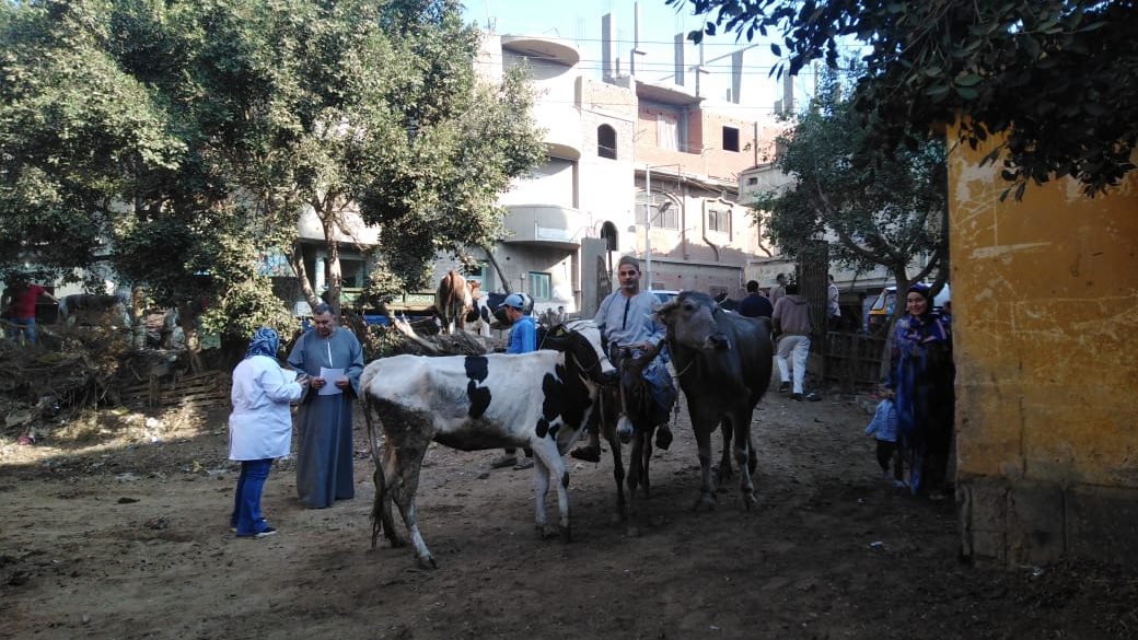 مدير الطب البيطري بالغربية 