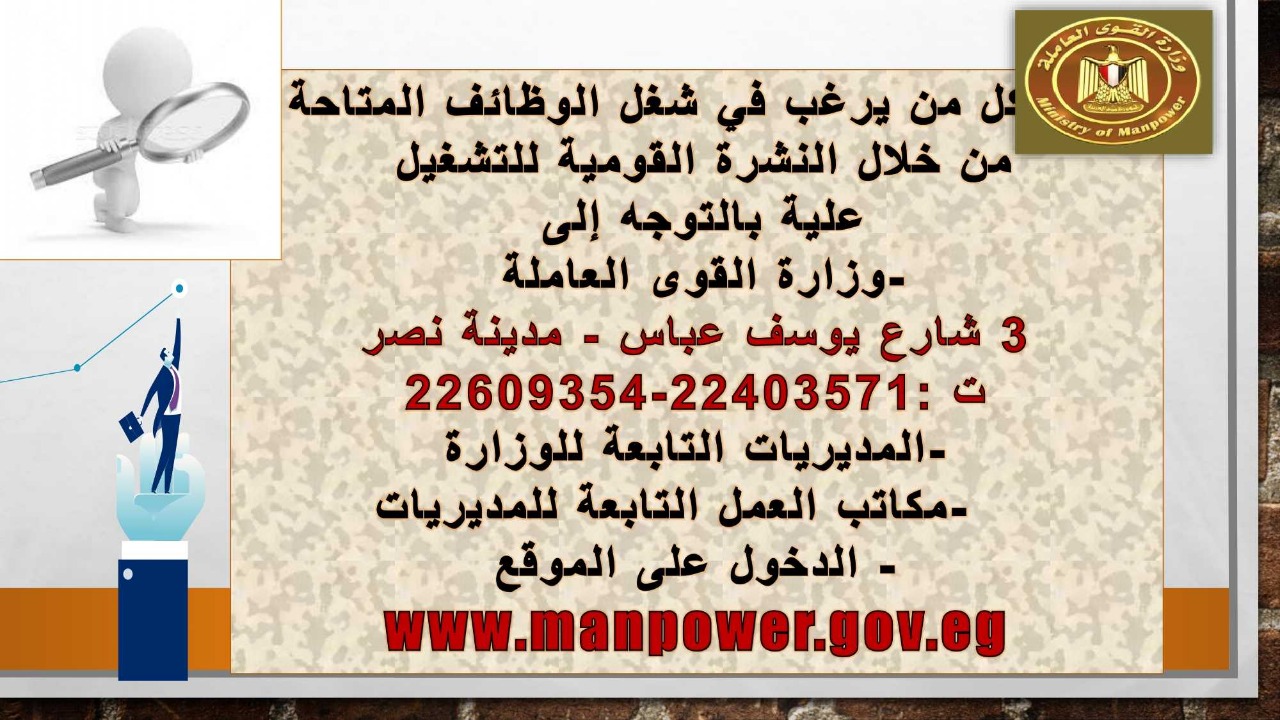 القوى العاملة 