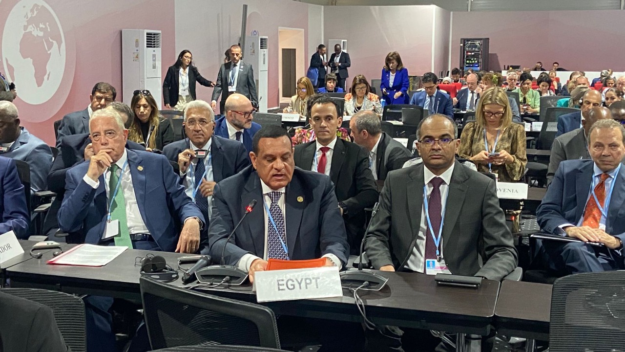 وزير التنمية المحلية 