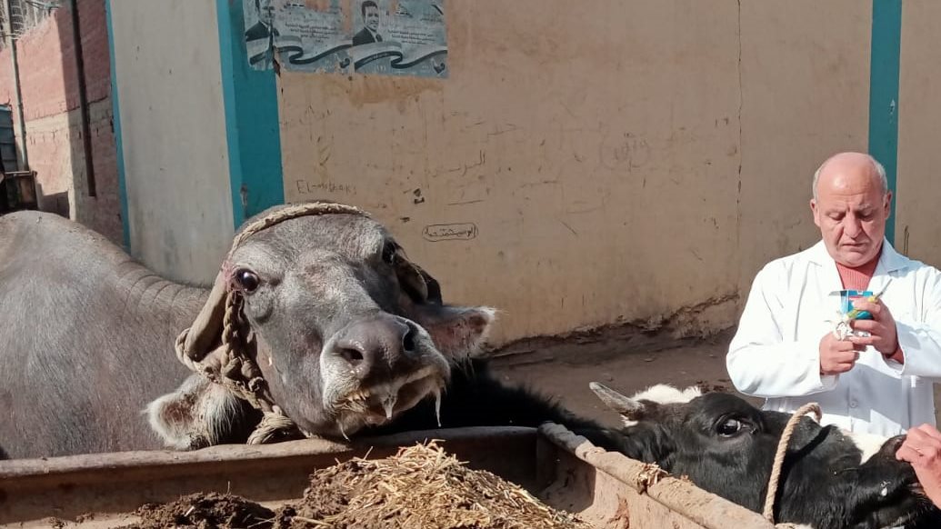 مدير الطب البيطري بالغربية 