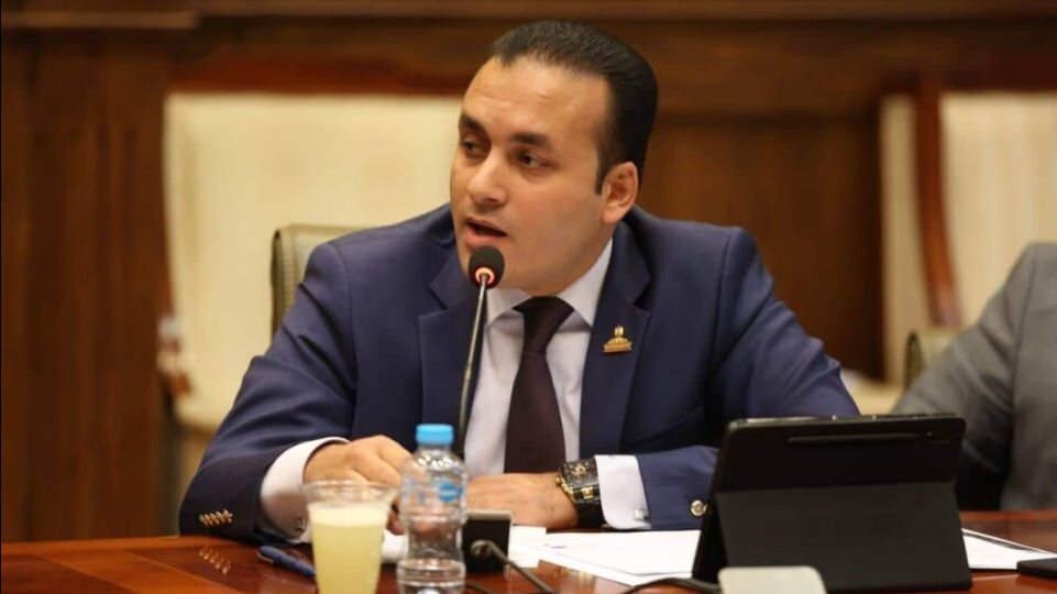 النائب عمرو فهمي، عضو مجلس الشيوخ