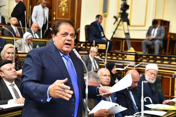 النائب محمد أبو العينين - وكيل مجلس النواب