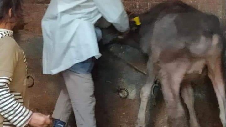 صوره من الحملات صوره من الحملات