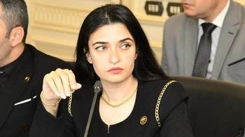  إيرين سعيد ، عضو لجنة الصحة بمجلس النواب 