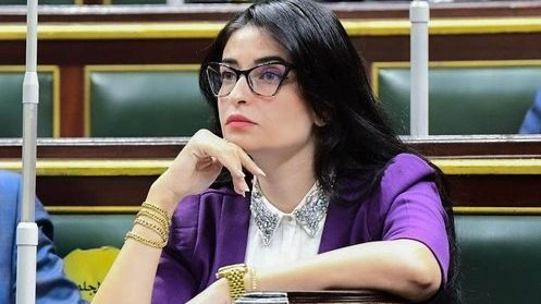 إيرين سعيد ،عضو لجنة الصحة بمجلس النواب