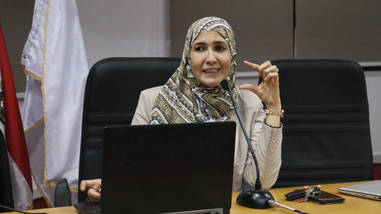 مقررة المجلس القومي 