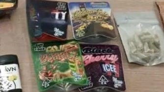 صورة من الضبطية صورة من الضبطية