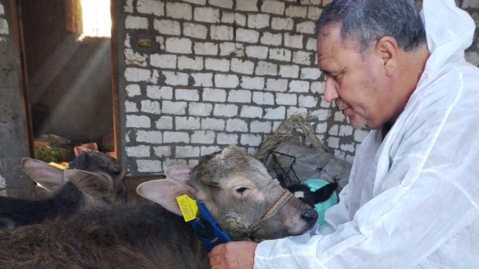 مدير الطب البيطري بالغربية 