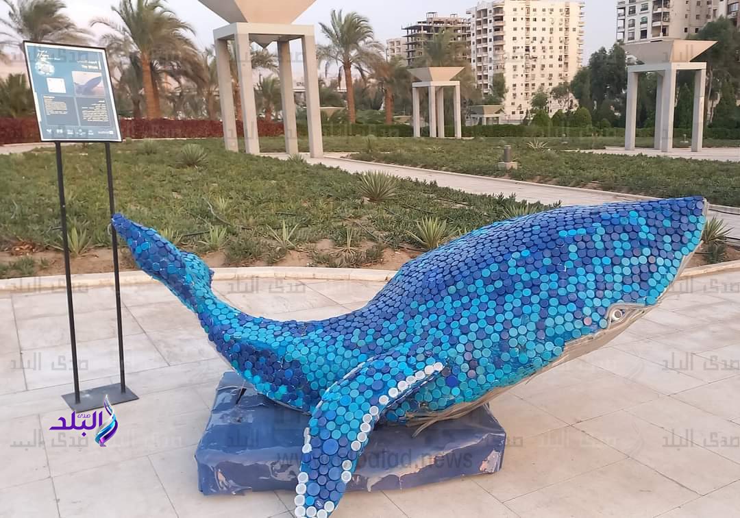 كلية الفنون الجميلة جامعة حلوان 