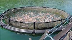 صورة تعبيرية - مزرعة سمكية 