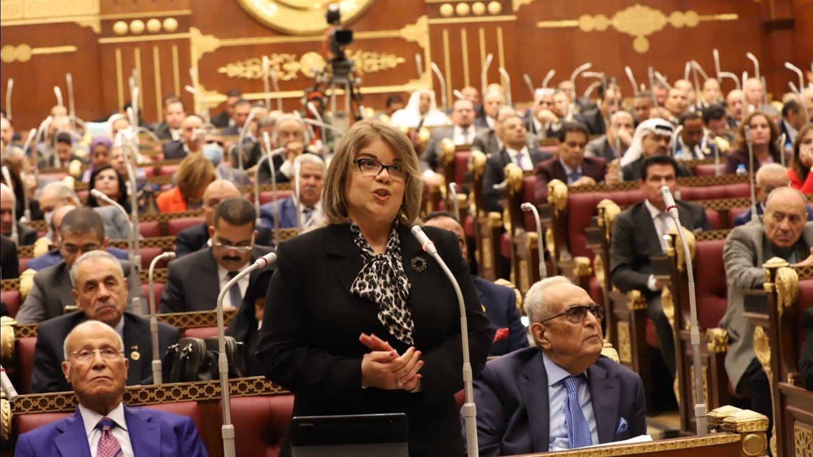  النائبة فيبي فوزى وكيل مجلس الشيوخ