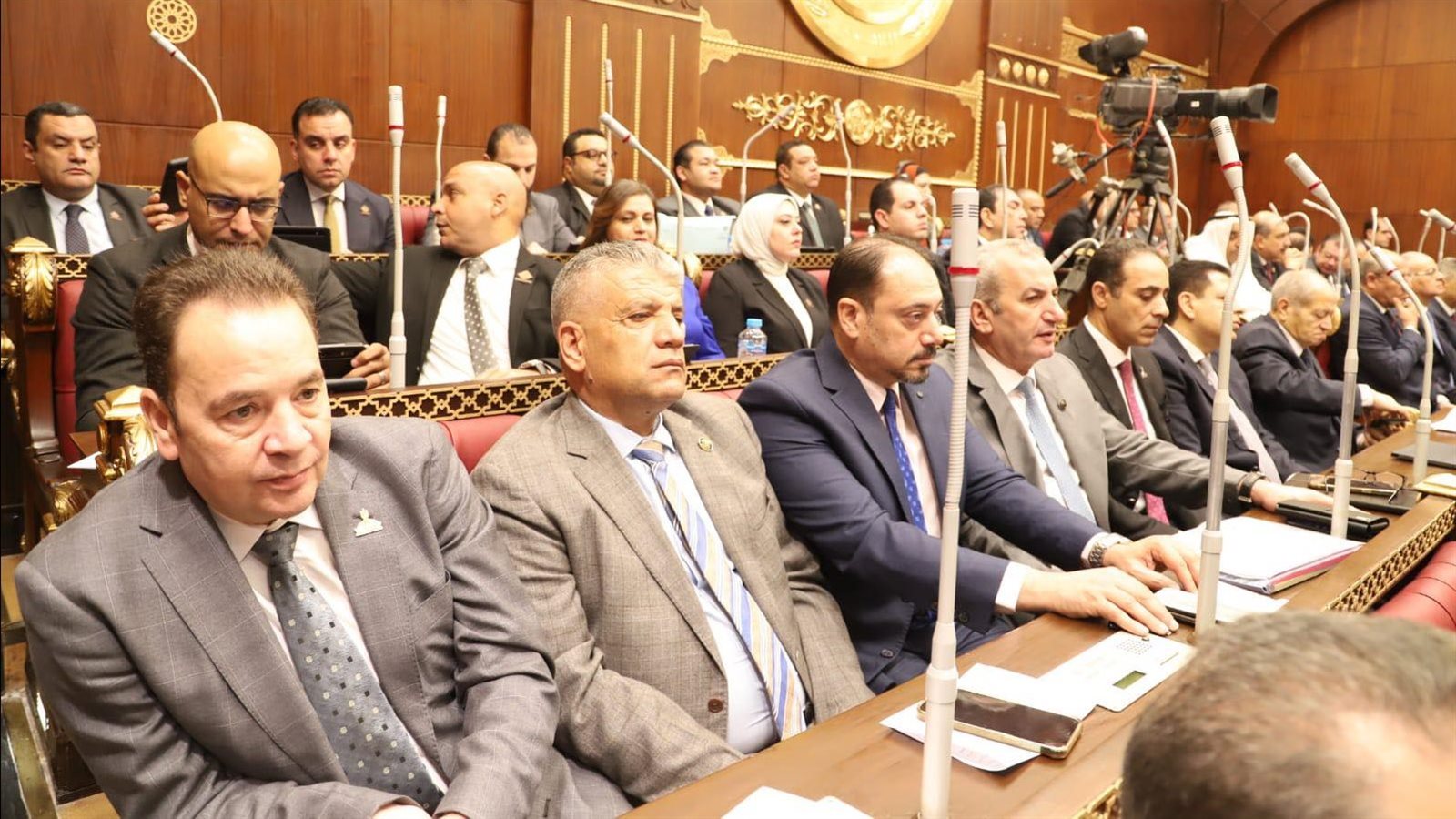 مجلس الشيوخ