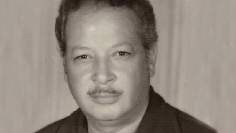 الفنان نبيل الألفي