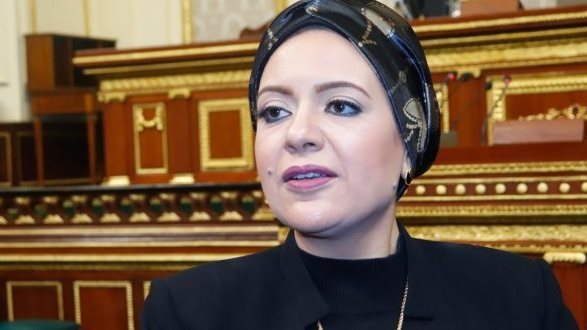  النائبة ريهام عبدالنبي، عضو مجلس النواب