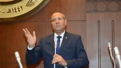 النائب عمرو عكاشة عضو مجلس الشيوخ