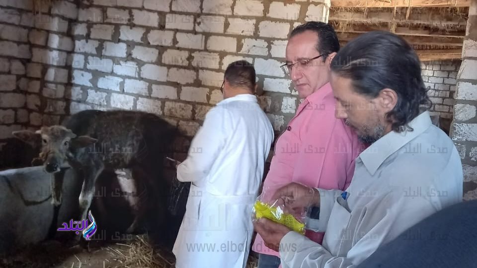 وكيل الطب البيطري بكفر الشيخ يتابع حملات التحصين