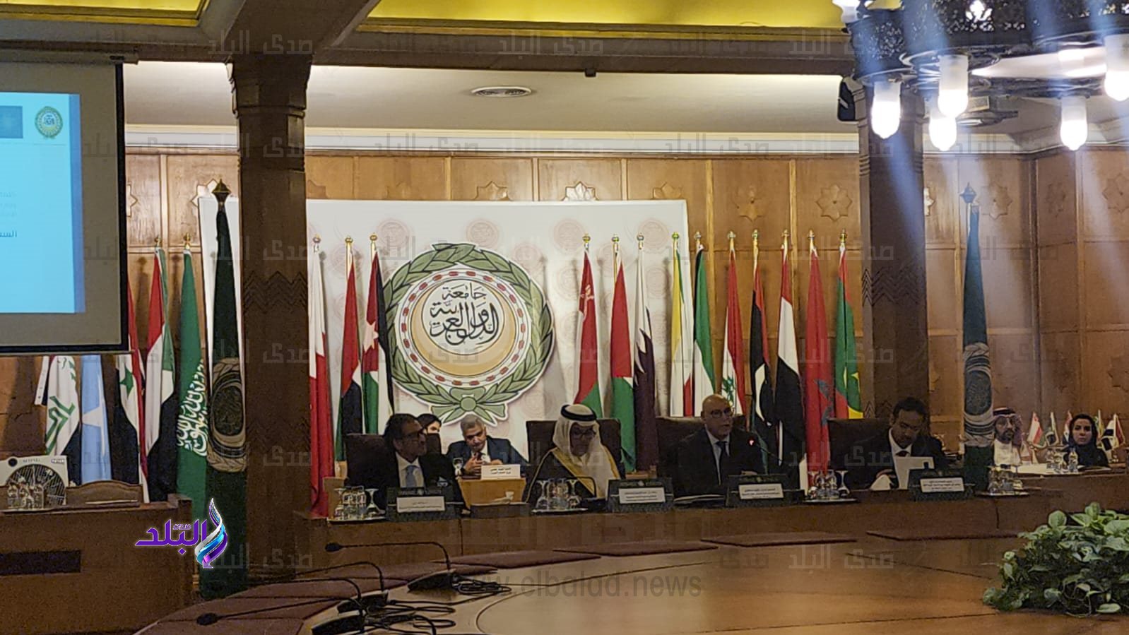 جامعة الدول العربية 