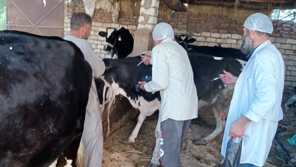 مدير الطب البيطري بالغربية  مدير الطب البيطري بالغربية