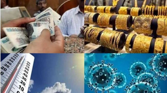 نشرة التوك شو