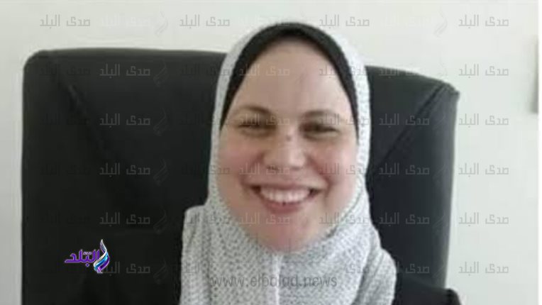 وكيل وزارة الكهرباء بكفر الشيخ