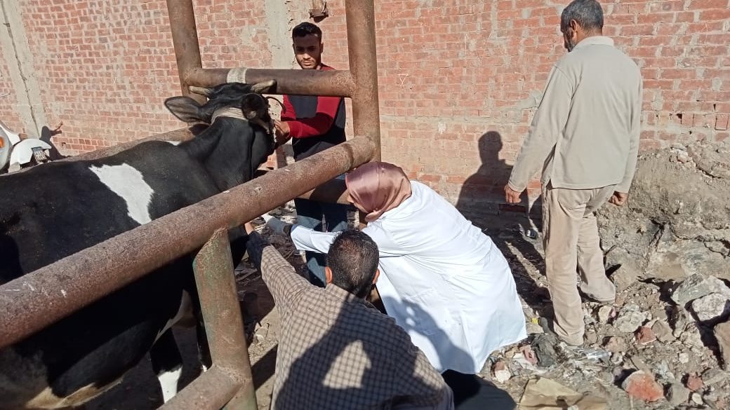 قوافل بيطرية بالغربية 