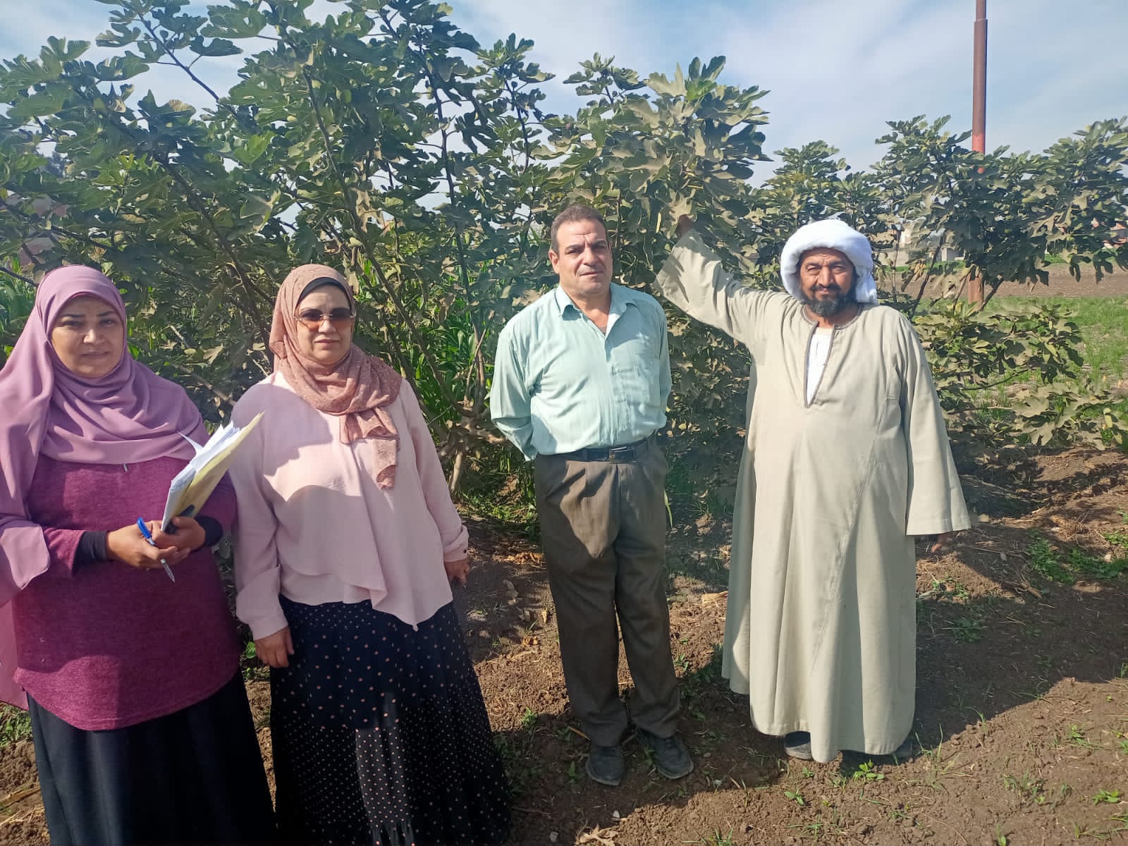 حدائق الخضر