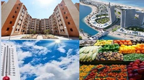 صورة الملف