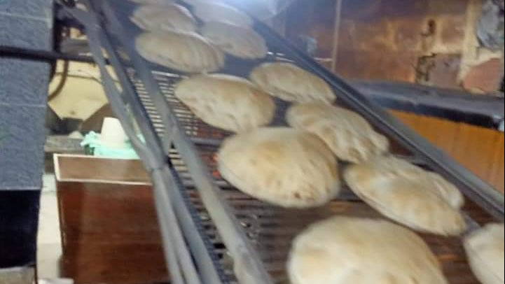 صوره من الحملات