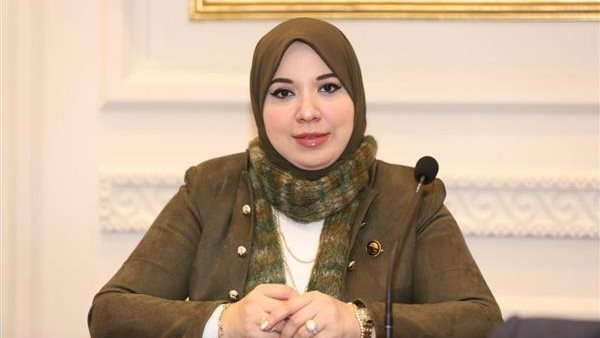 النائبة دينا هلالي، عضو مجلس الشيوخ