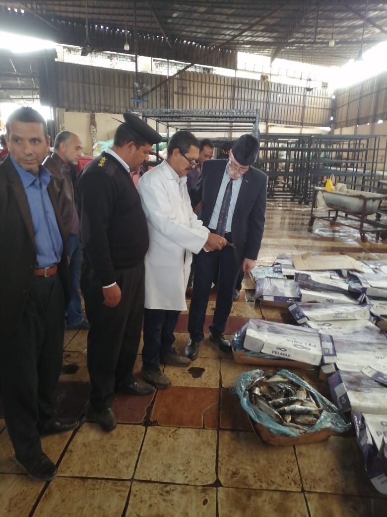 وكيل الطب البيطري بالغربية 