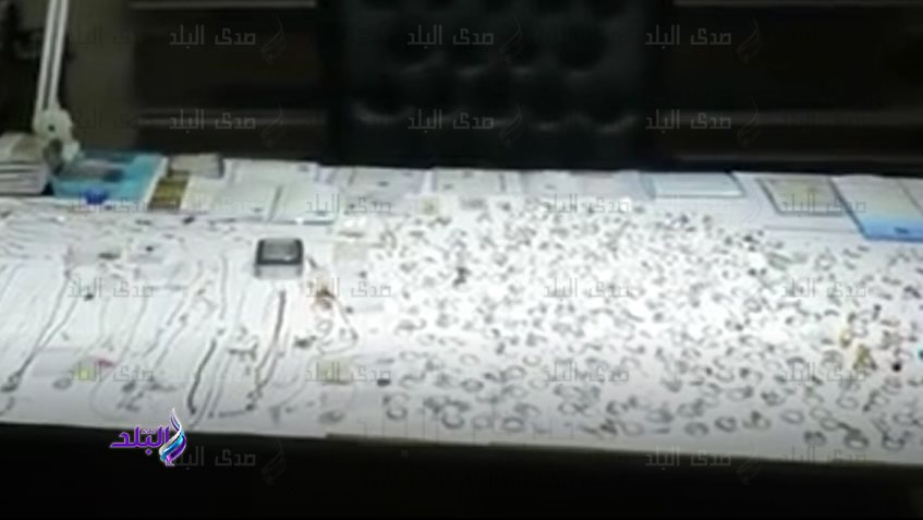 المضبوطات
