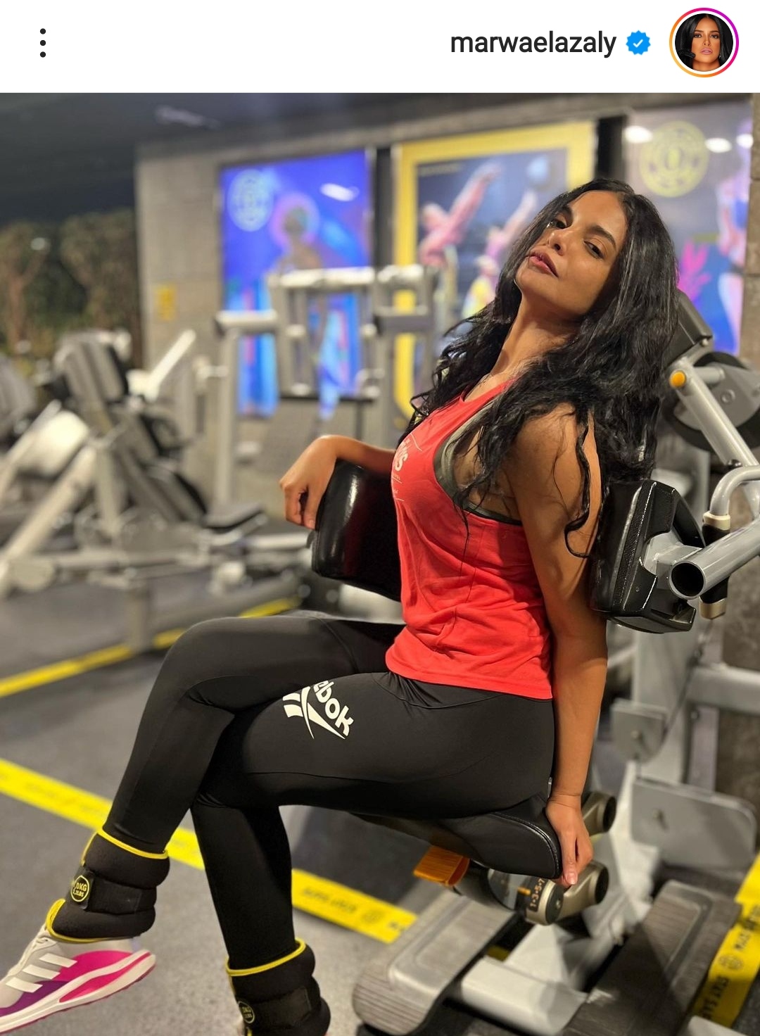 IMG_٢٠٢٢١٢٠٧_١٩٤٣٣٨