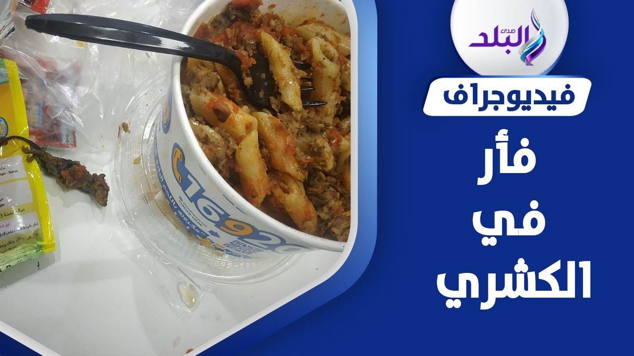 فار في علبة الكشري