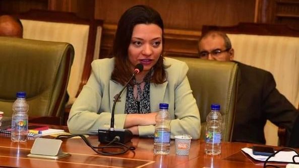 مي كرم جبر، عضو لجنة الدفاع والأمن القومي بمجلس النواب