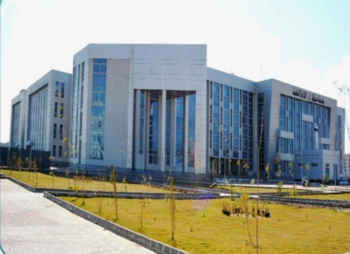 جامعه دمياط 