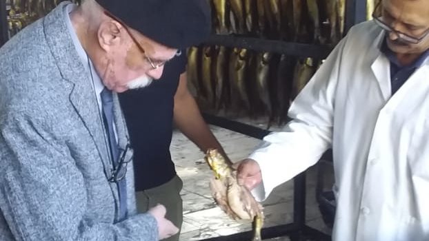 مدير الطب البيطري بالغربية 